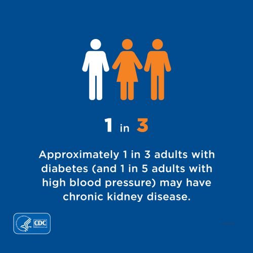 What You Should Know About Chronic Kidney Disease