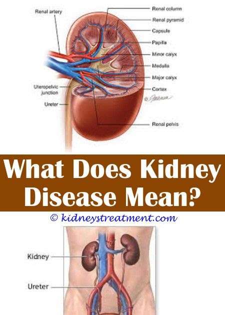 whats good to eat: What is good to eat for kidney disease.Icd
