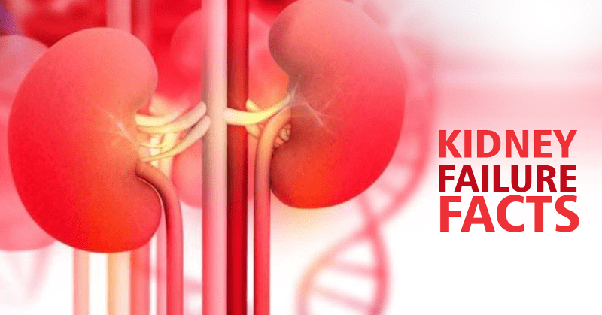 Where can I find a good Ayurvedic hospital for kidney ...