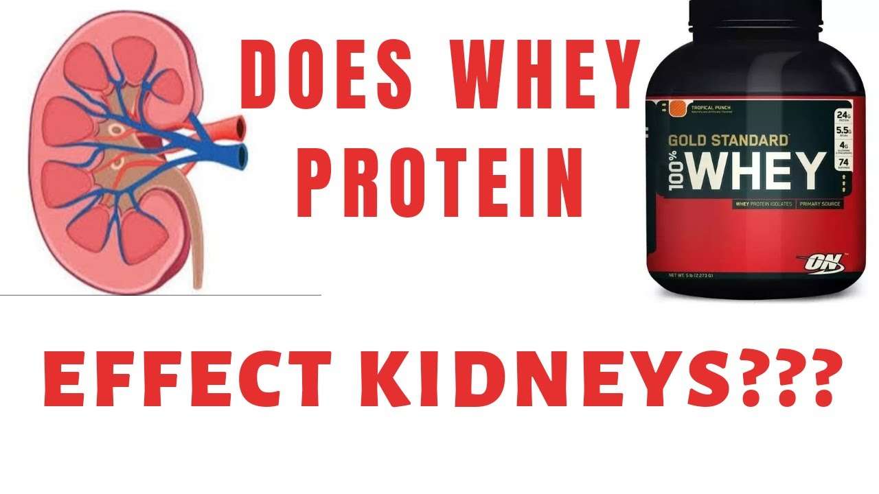 is-whey-protein-bad-for-kidneys-healthykidneyclub