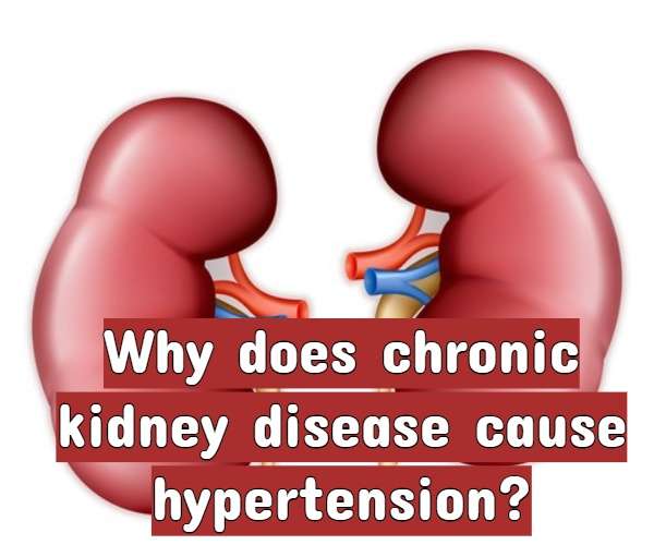 can-stage-4-kidney-disease-be-reversed-healthykidneyclub