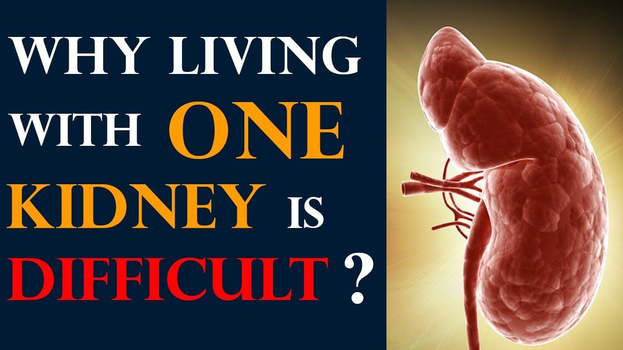 Why Living with One Kidney Is Difficult? Kidney Expert ...
