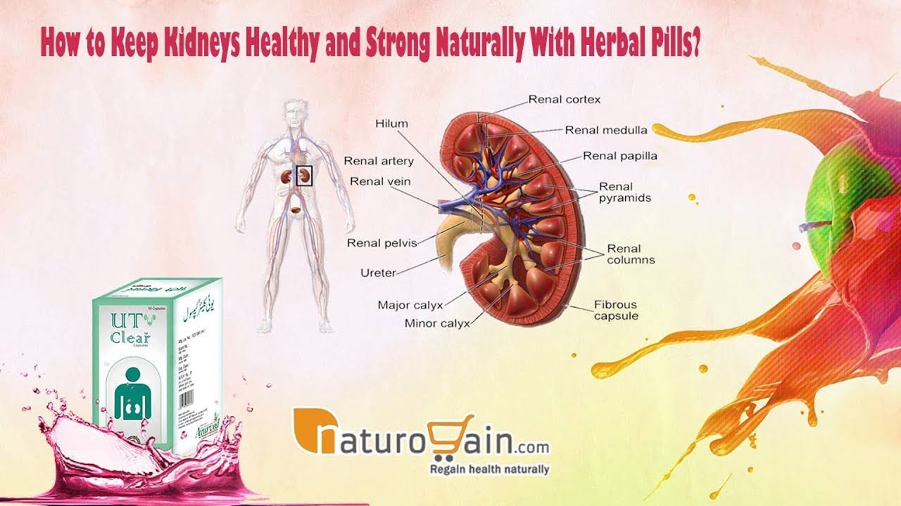You can find more natural how to keep kidneys healthy at ...